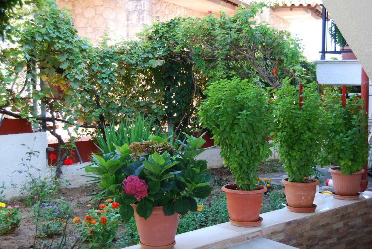 אפיטוס Studio Nastasia מראה חיצוני תמונה
