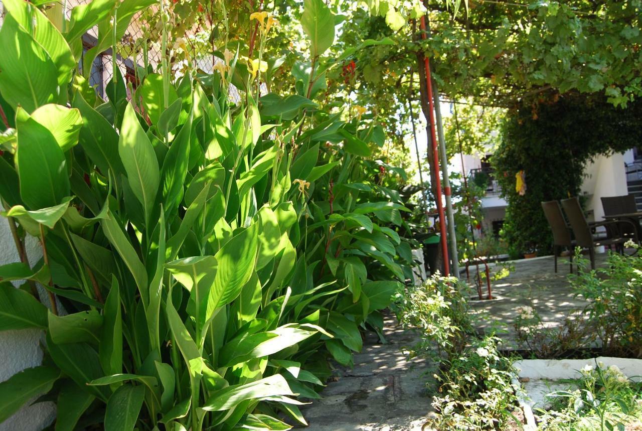 אפיטוס Studio Nastasia מראה חיצוני תמונה